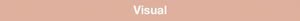 How do you define brand identity: visual