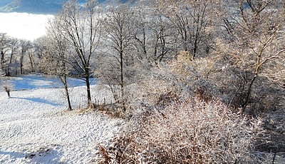 抚顺网站建模板：公司网站需要准备哪些信息？