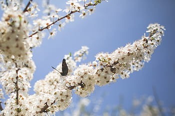 莆田开发模板小程序：对于餐饮业，为了使用小程序可以按照以下几点