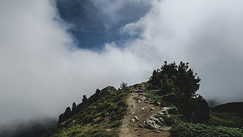 株洲电脑软件开发:小程序商城靠广告就可以坐吃山空